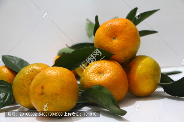 橘子