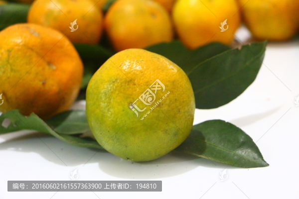 橘子寫(xiě)真