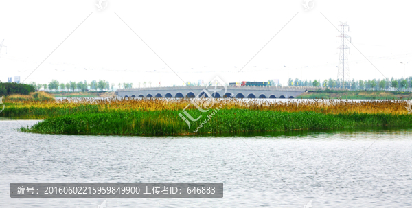 葦塘,拱橋,勝芳古鎮(zhèn)