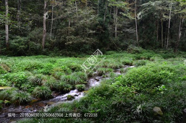 山谷