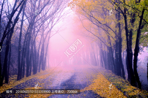 深秋郊外景觀大道