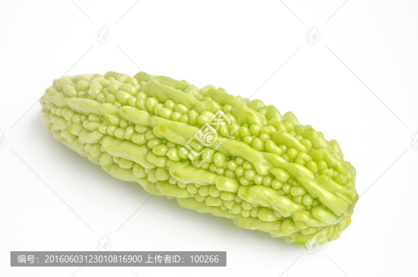 新鮮苦瓜