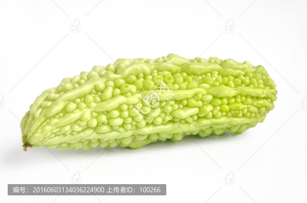 新鮮苦瓜