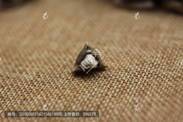 印度進(jìn)口辣木籽