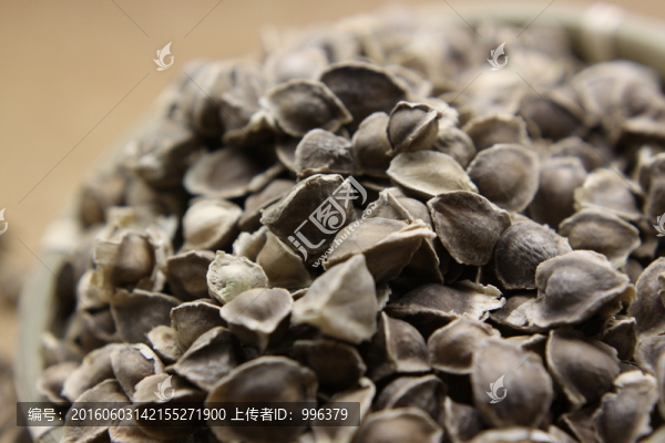 印度進(jìn)口辣木籽
