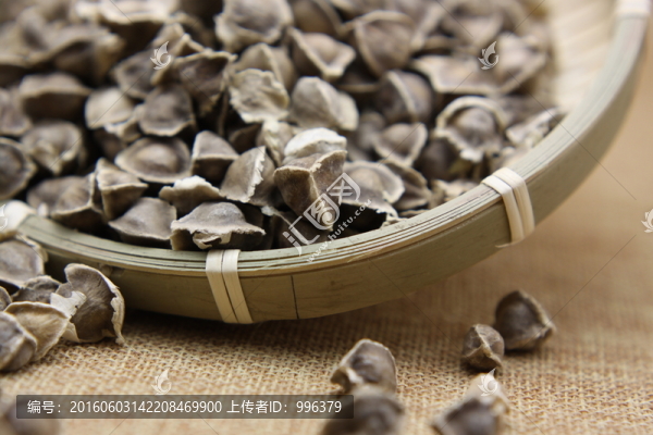 印度進(jìn)口辣木籽
