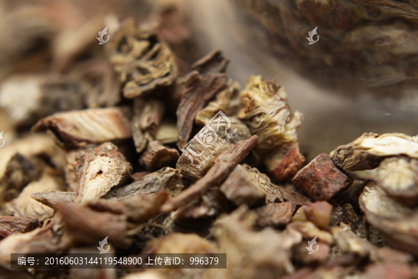 云南中草藥丹參