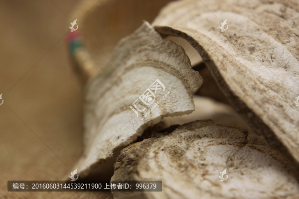 云南中草藥葛根片