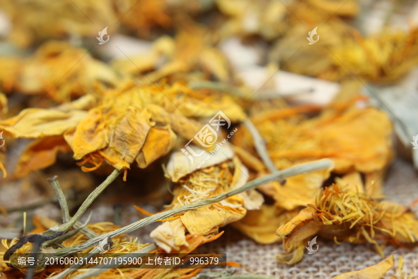 云南中草藥金蓮花