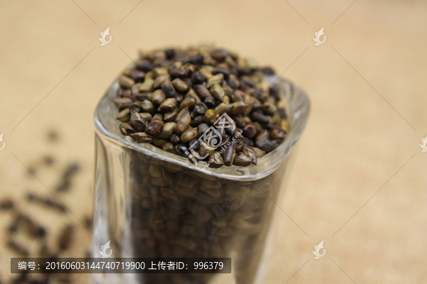 云南中草藥決明子