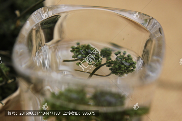 云南中草藥三七花