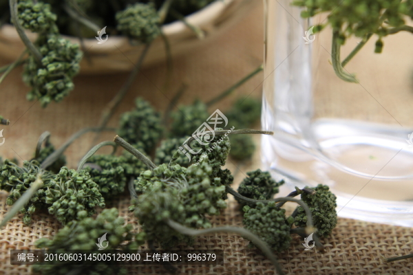 云南中草藥三七花