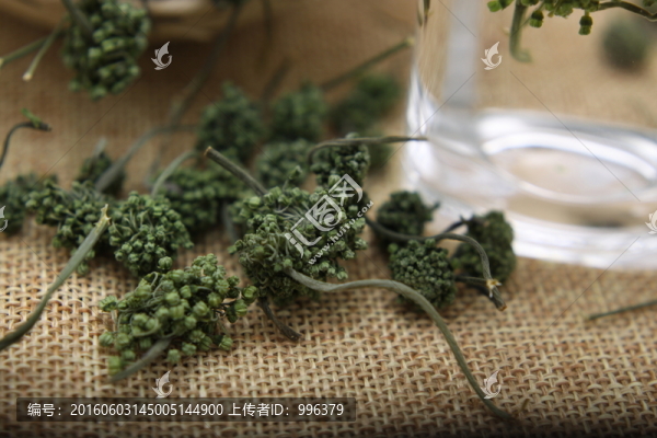 云南中草藥三七花