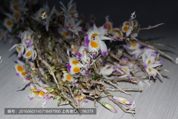 紫皮石斛花