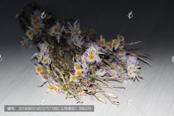 紫皮石斛花