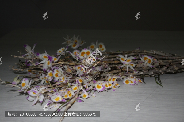 紫皮石斛花