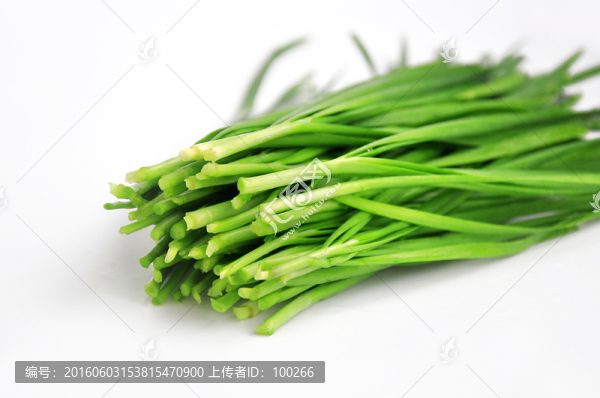 新鮮韭菜