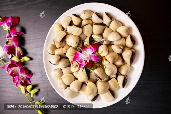 白貝