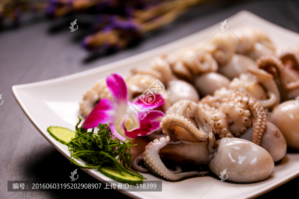 小章魚