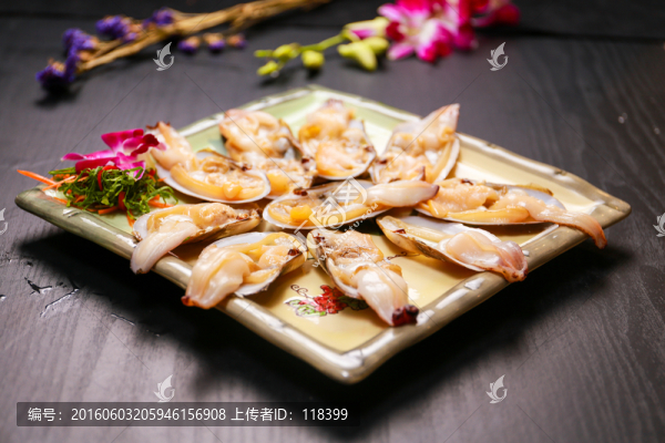 貝類海鮮