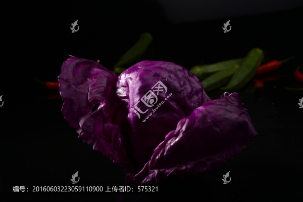 紫包菜