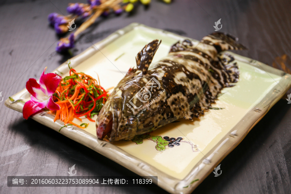 石斑魚(yú)