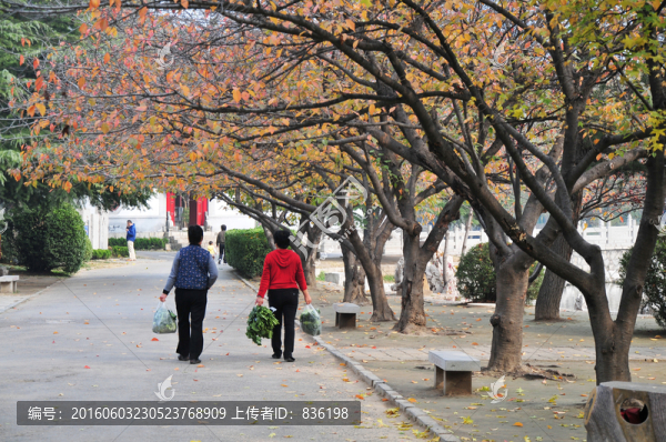 秋天的公園