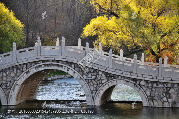 石橋上的秋天