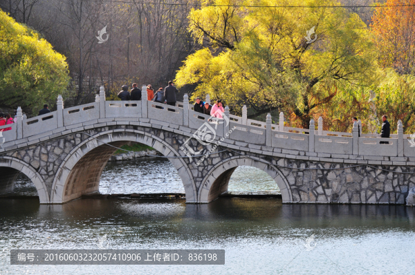 石橋