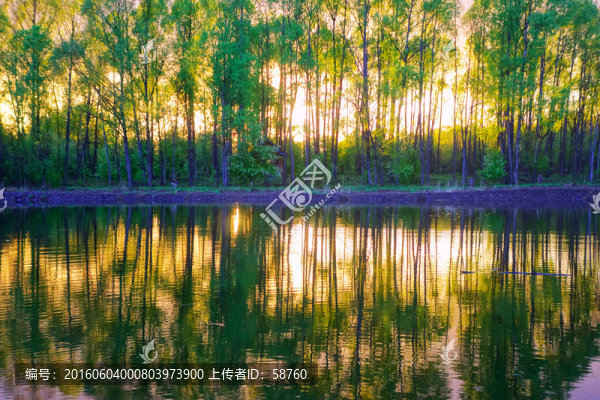 夕陽下的湖泊樹林
