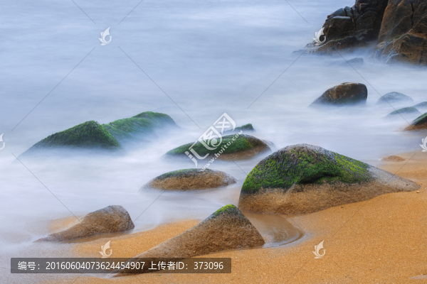 海藻礁石海浪