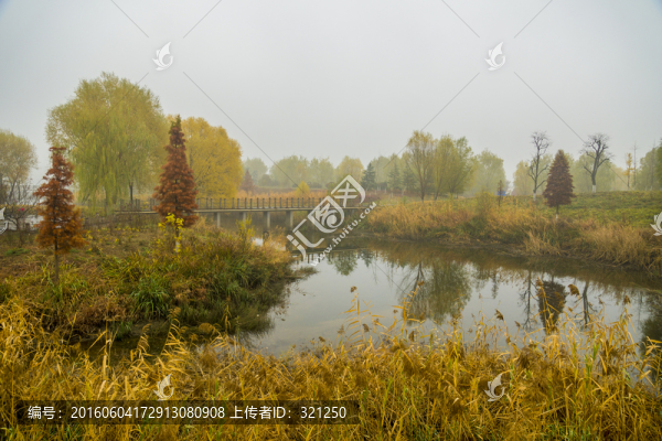 濕地公園