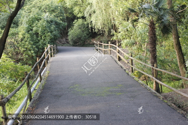 城市森林