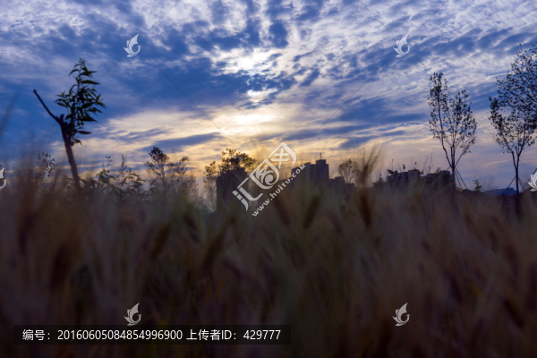 落日,夕陽(yáng),余輝