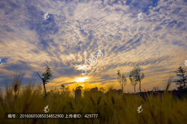 天空云彩,天空,云朵