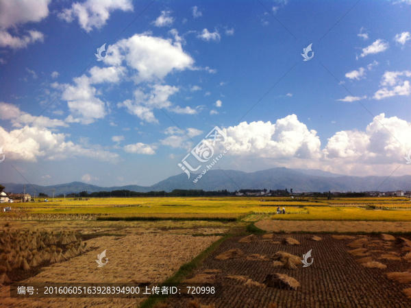 大理田園風(fēng)光