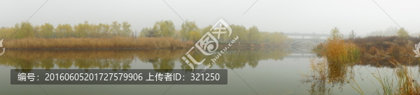 濕地風(fēng)光寬屏接片