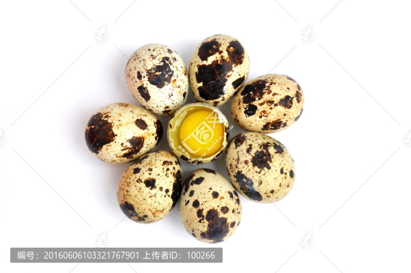 新鮮鵪鶉蛋