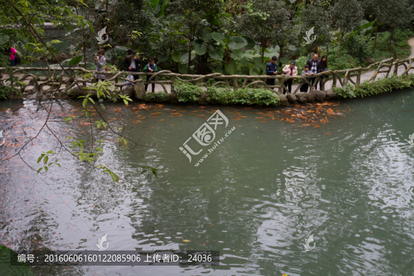 放生池,金魚(yú)