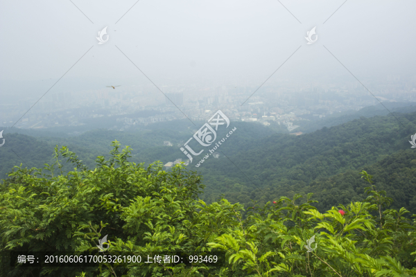白云山頂