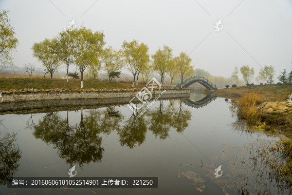 濕地風(fēng)光
