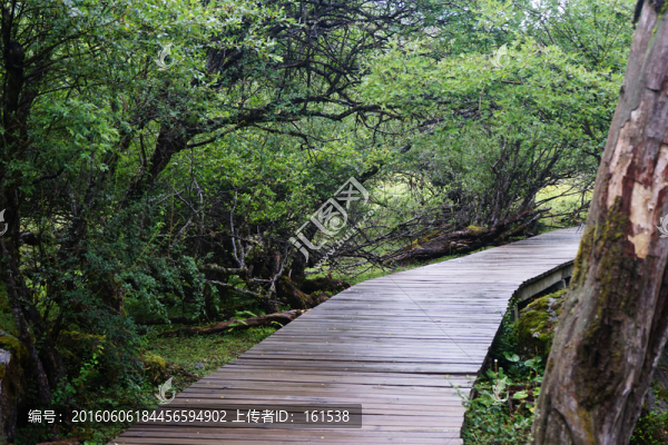 四川阿壩州四姑娘山棧橋