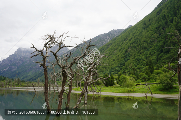 四川阿壩州四姑娘山