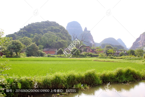 山區(qū)