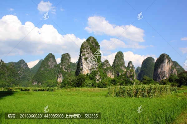 奇峰鎮(zhèn)風(fēng)光