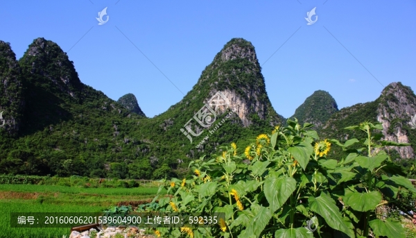 奇峰鎮(zhèn)