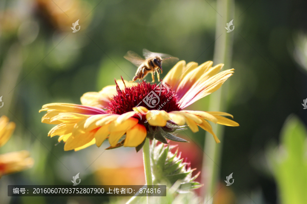 格?；? title=