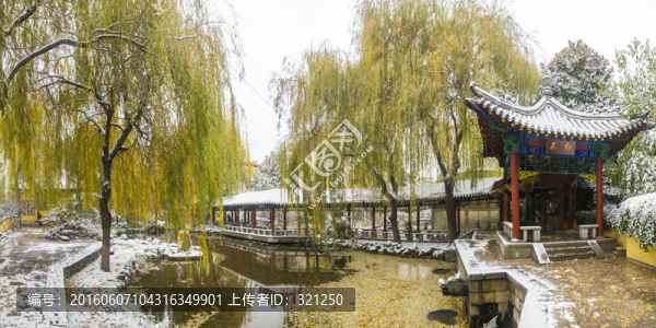 園林景觀