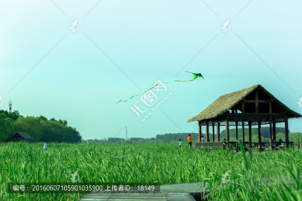 運(yùn)河森林公園