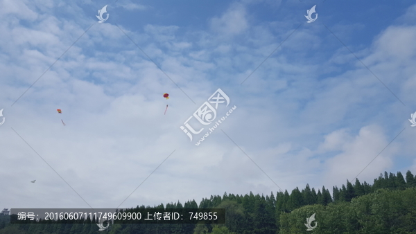 海水浴場草坪